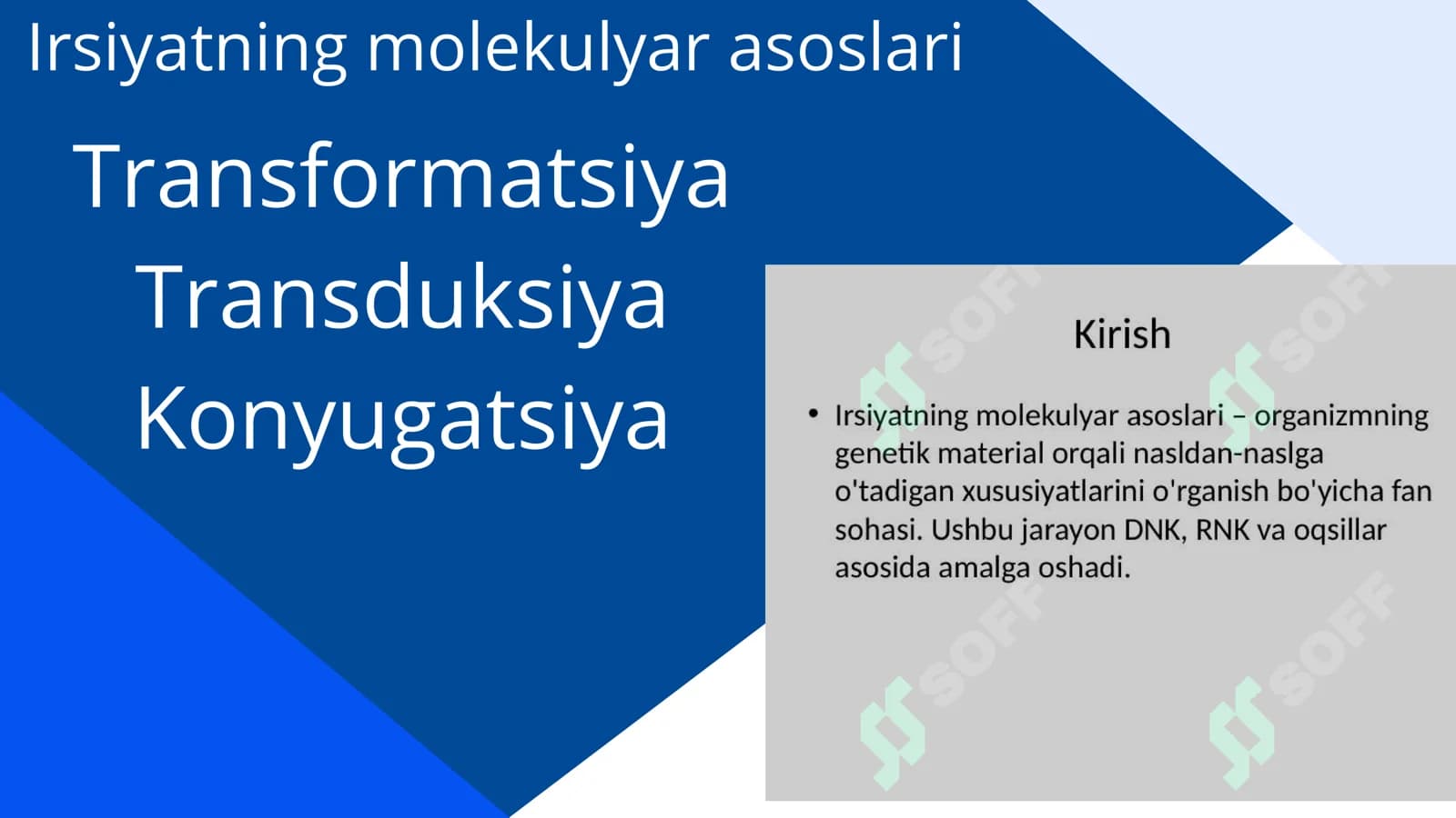 Irsiyatning molekulyar asoslari