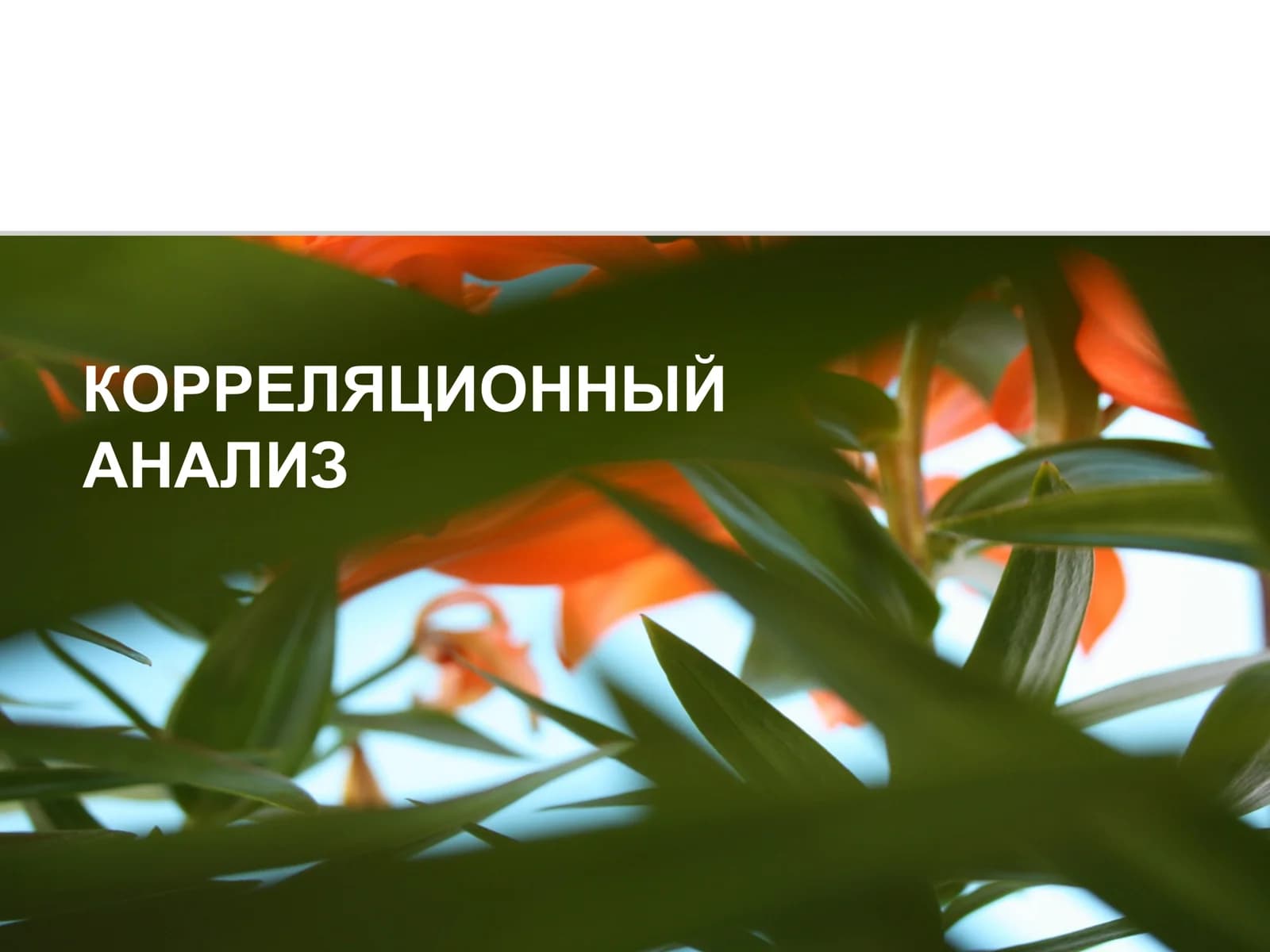 КОРРЕЛЯЦИОННЫЙ  АНАЛИЗ