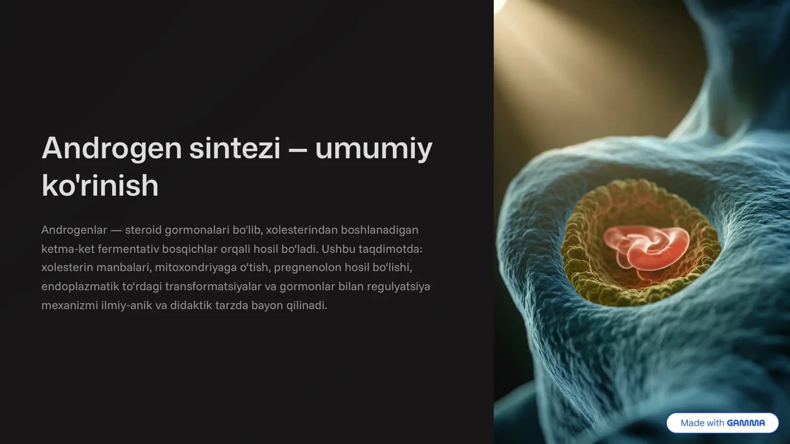 Androgen sintezi 4 umumiy