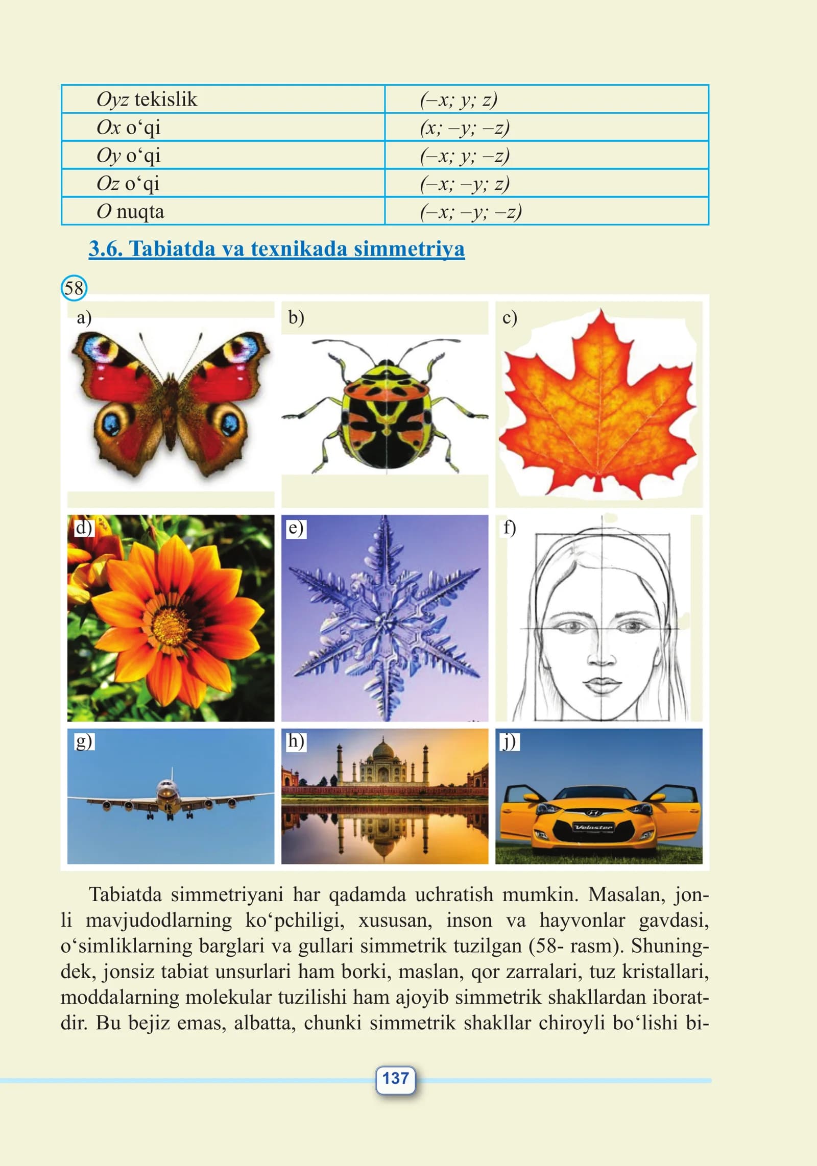 Oyz tekislik