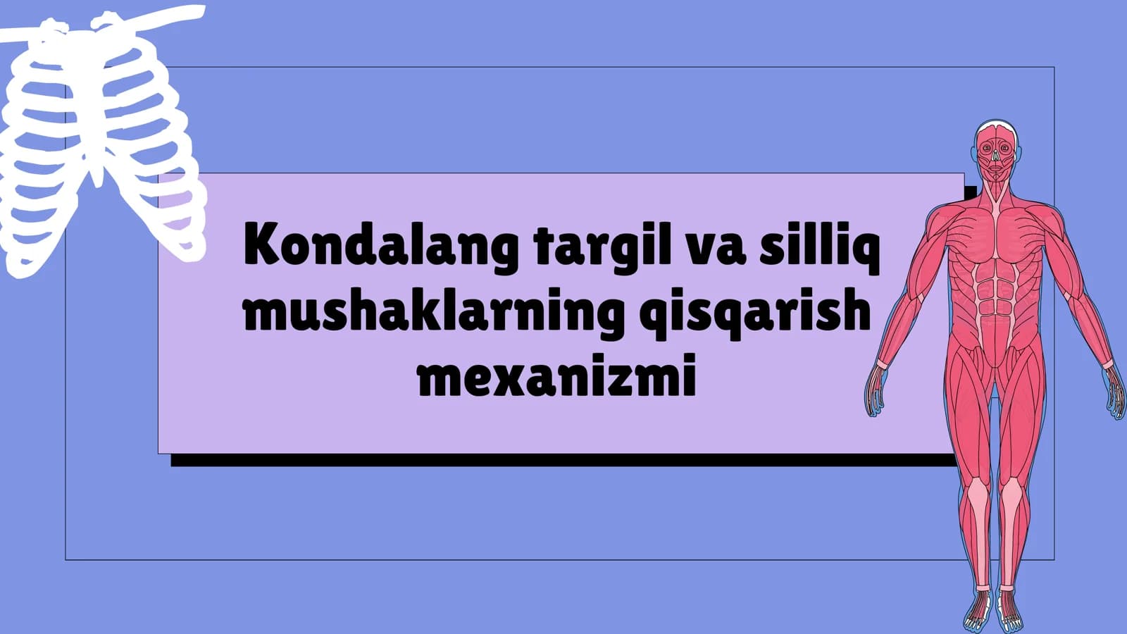 Kondalang targil va silliq mushaklarning qisqarish mexanizmi