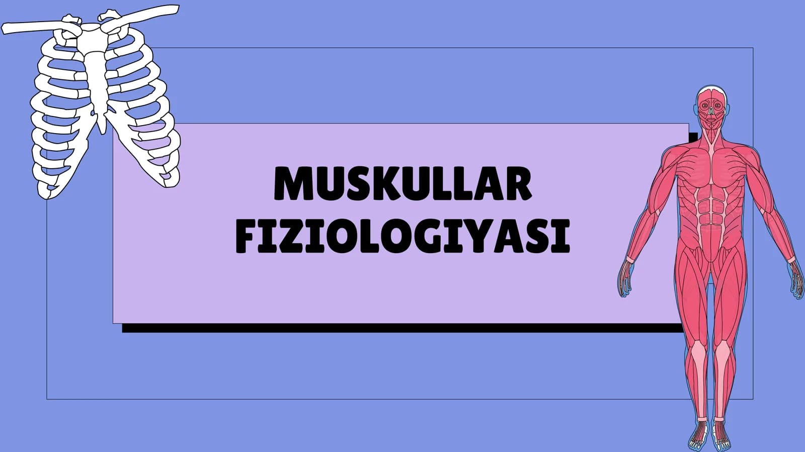 Muskullar fiziologiyasi