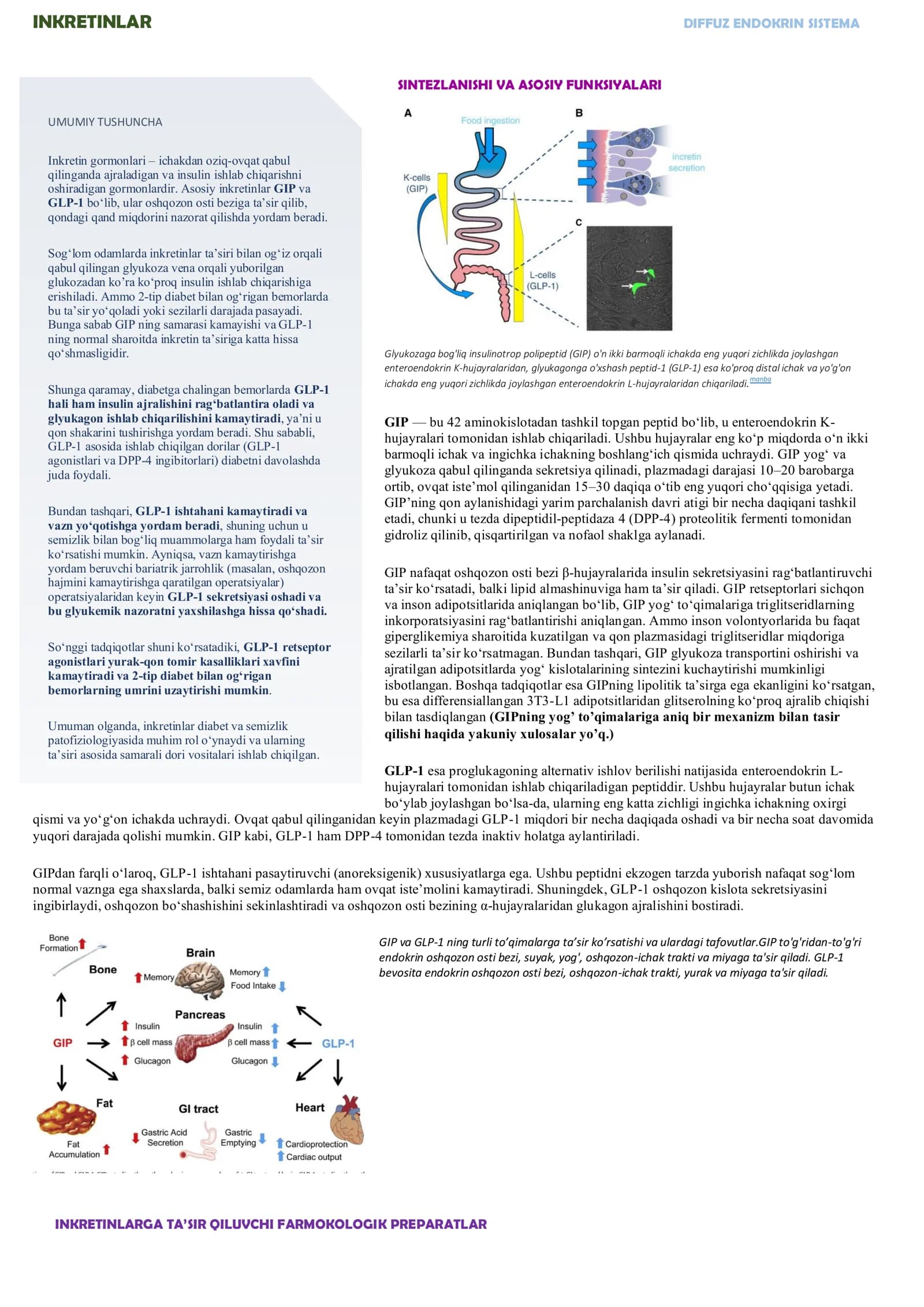 INKRETINLAR DIFFUZ ENDOKRIN SISTEMA