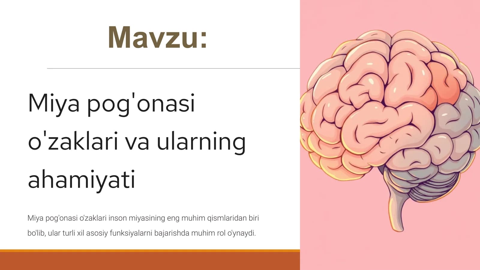 Miya pog'onasi