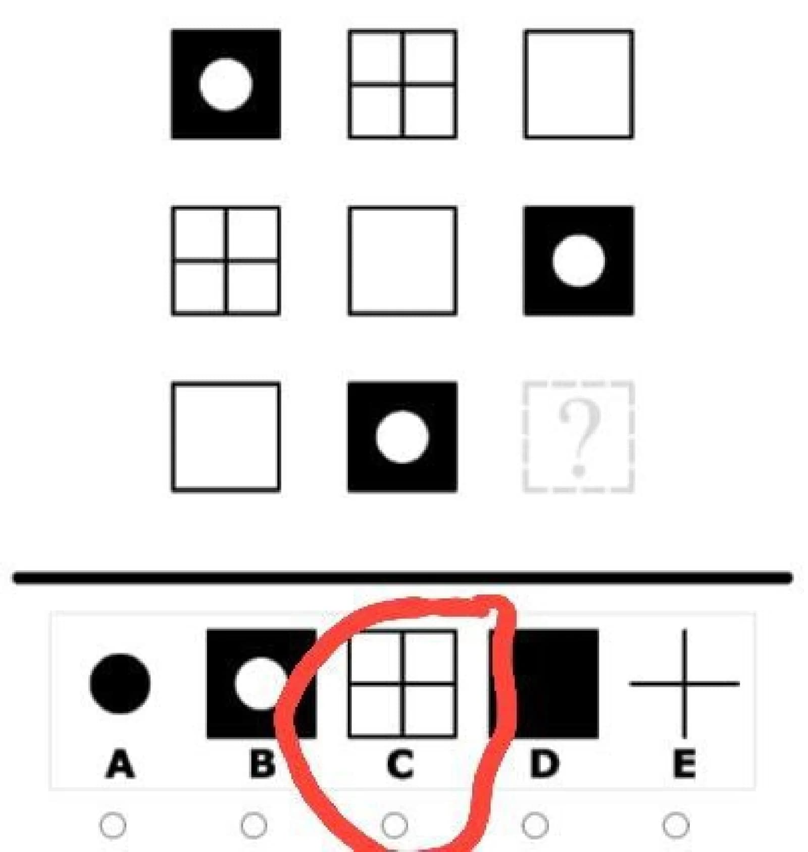 ARGOS iQ test 2025
