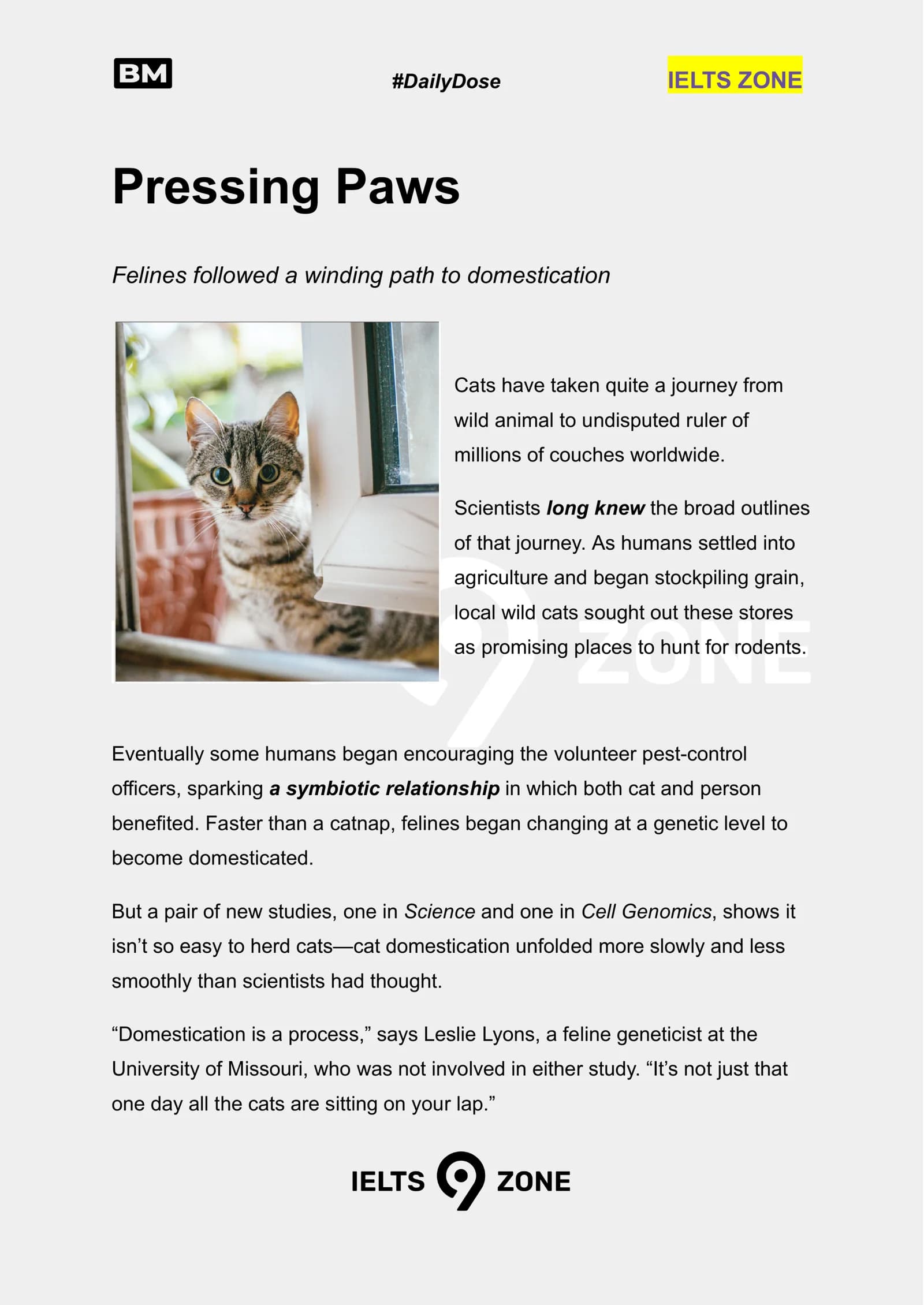Pressing Paws
