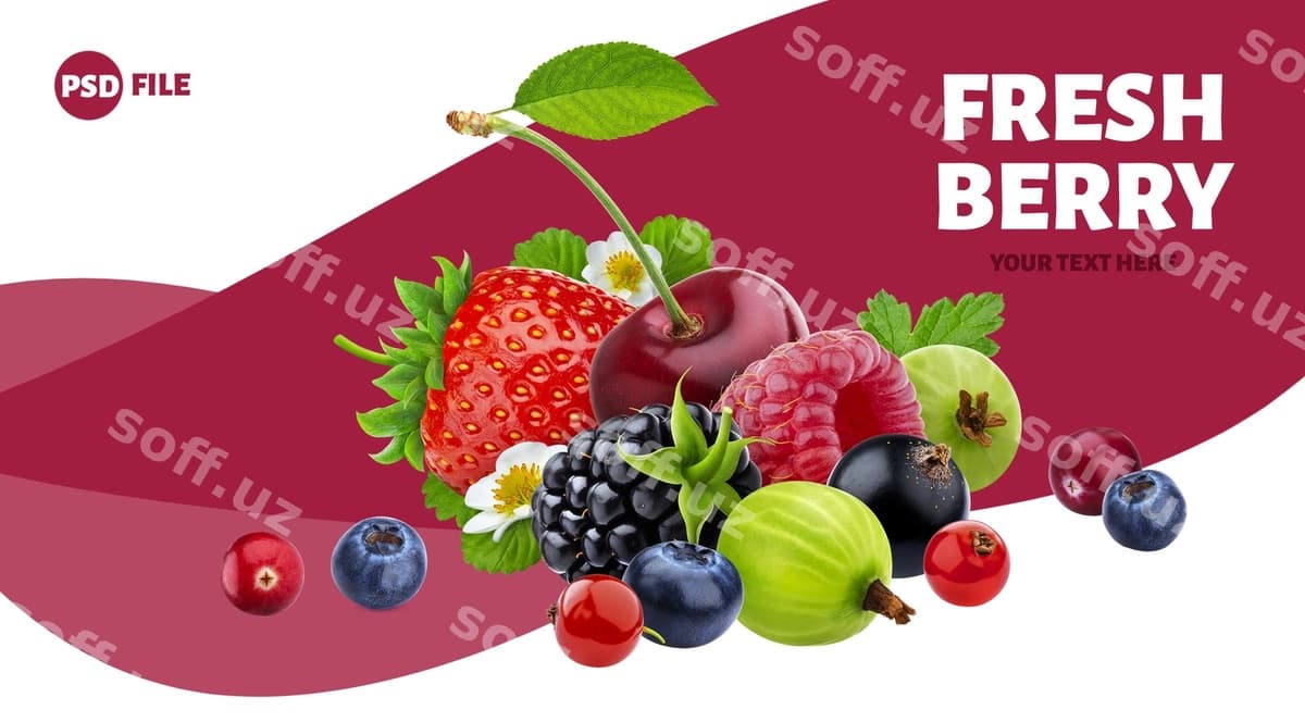 Boshqa yovar beri to'plami bayroq | Pile different wild berries banner