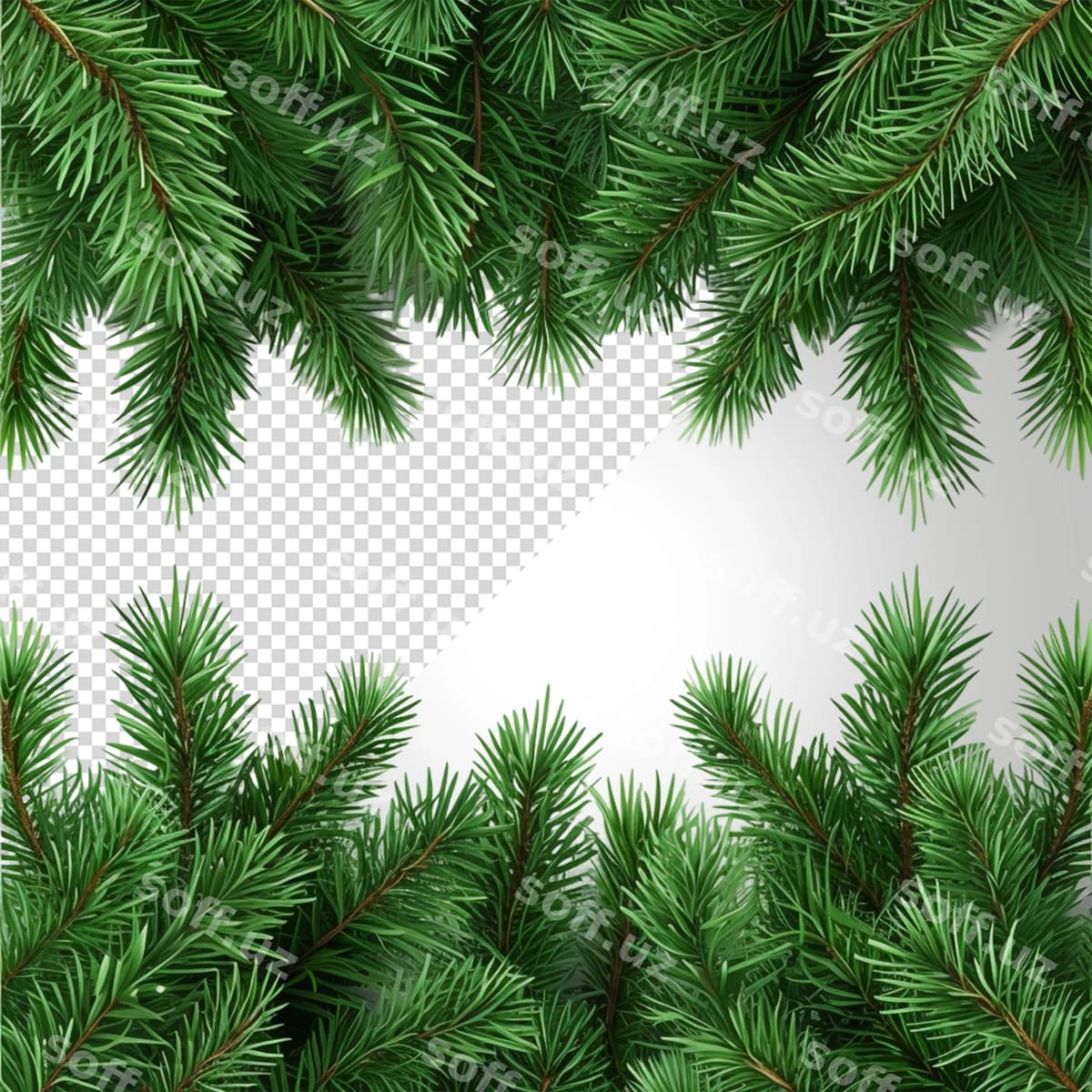 Chinar garlandi ajraltirilgan oq fon | Pine wreath isolated white background