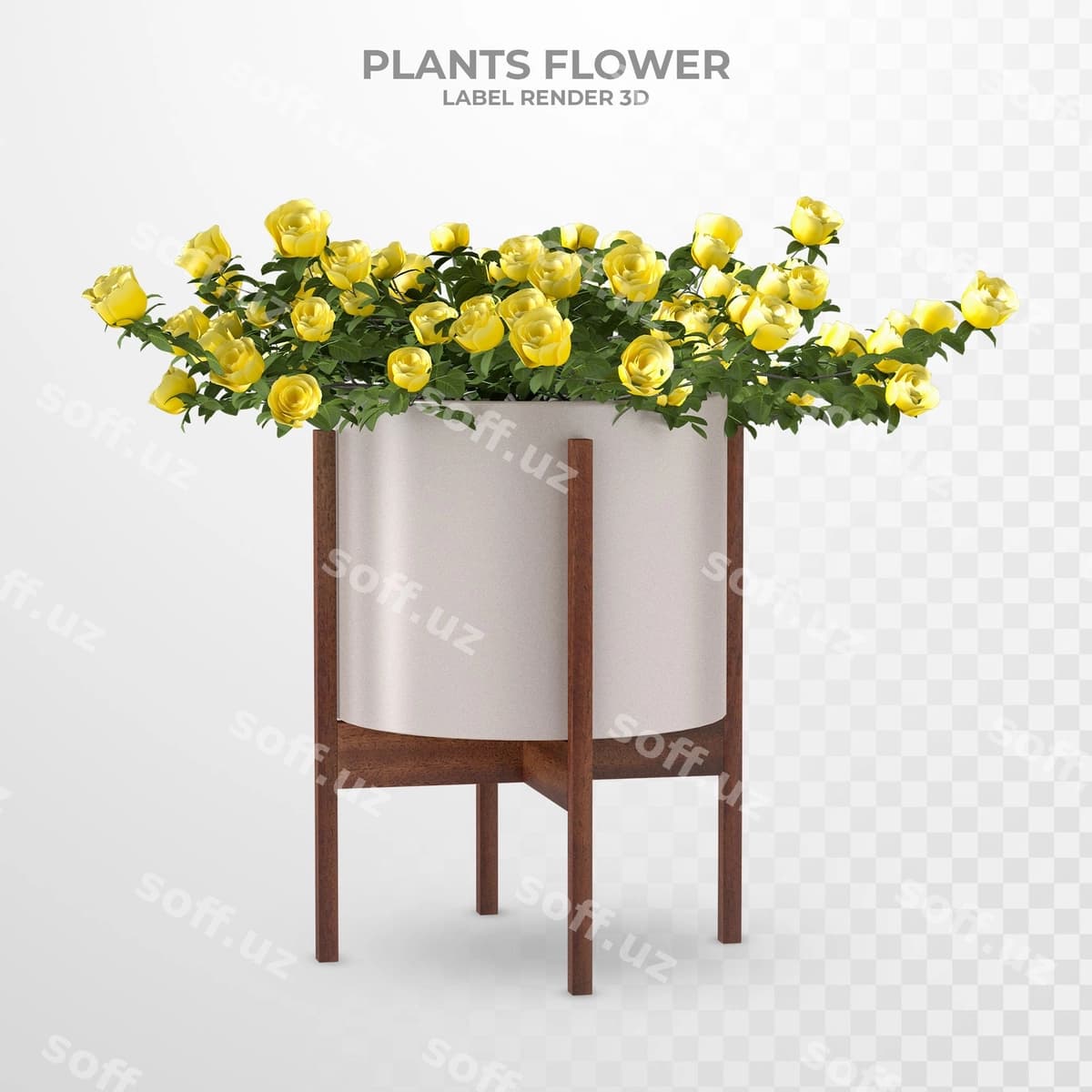 O'simliklar yopiq gullar 3D renderlash | Plants indoor flower 3d rendering