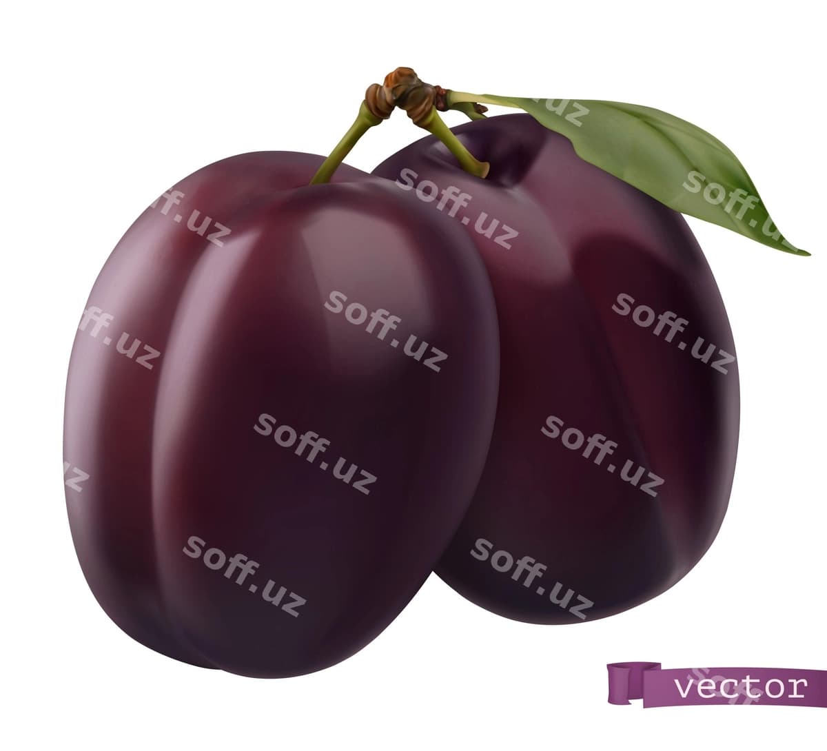 Olxo'ri 3d realistik | Plum 3d realistic