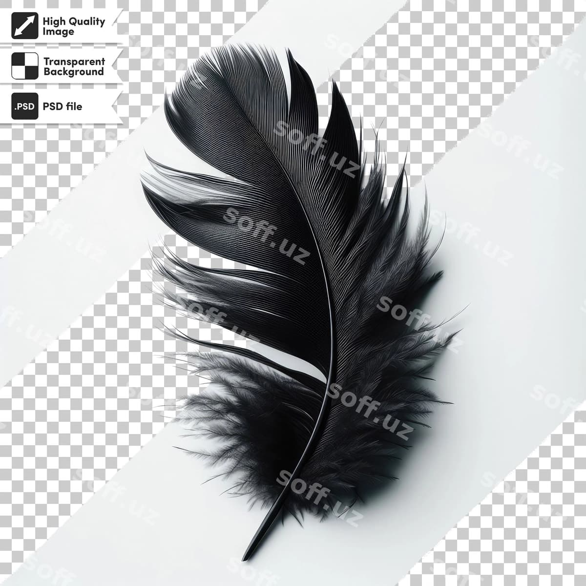 Psd patli shaffof fon | Psd feather transparent background