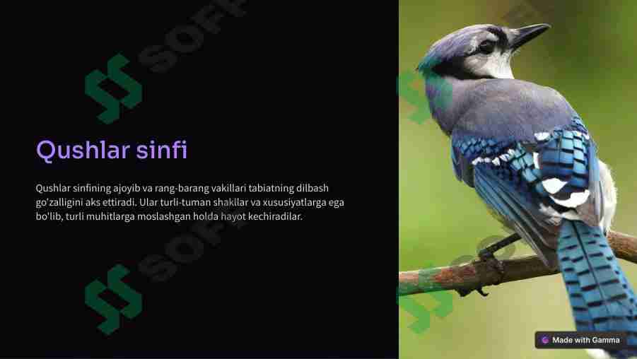 Qushlar snifi