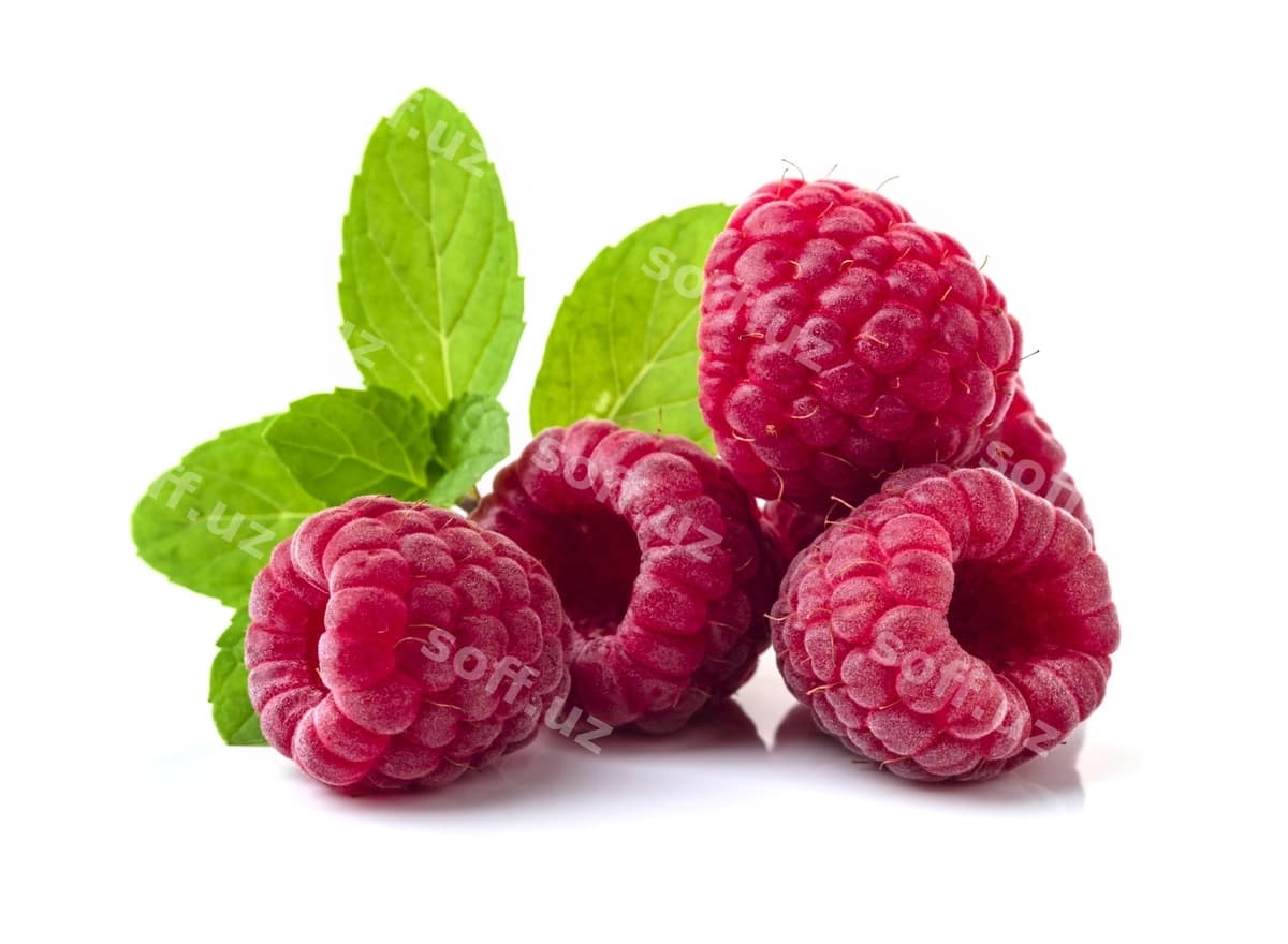 Mora ajralgan | Raspberry isolated