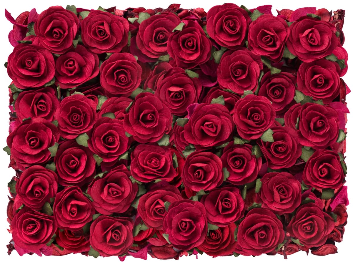 Qizil rangli go'zal fon Sevishganlar kuni | Rose red beautiful background valentines day