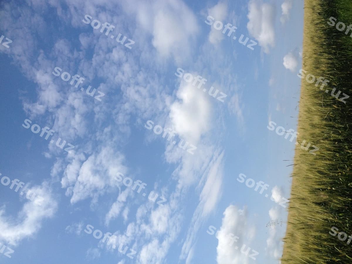 Osmonga qarshi manzarali maydon | Scenic view field against sky