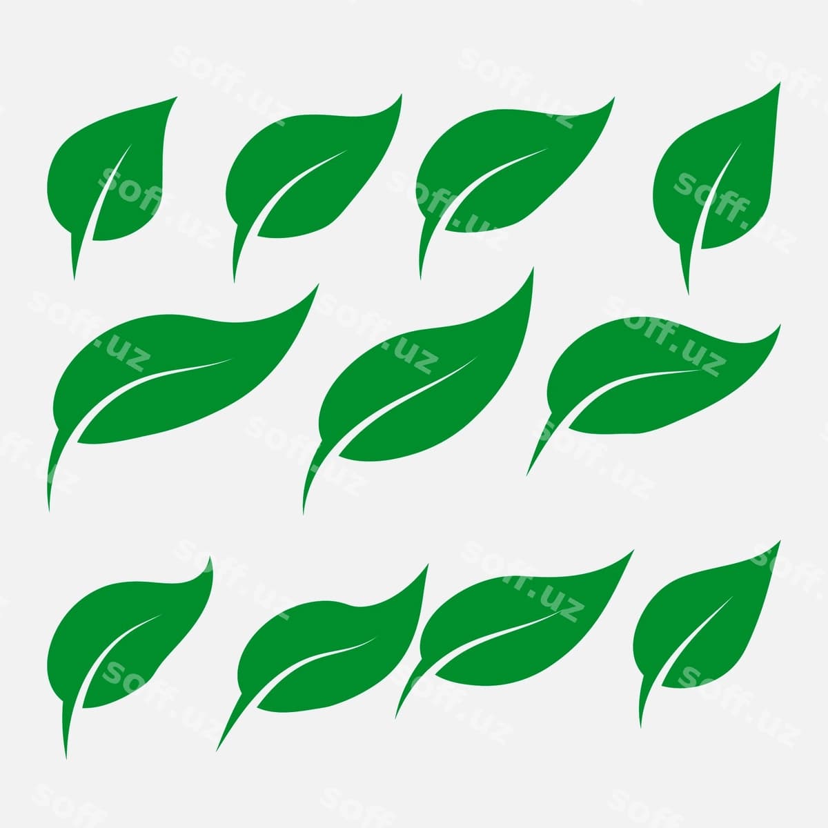 Yashil barg belgilarini o'rnating | Set green leaf icons