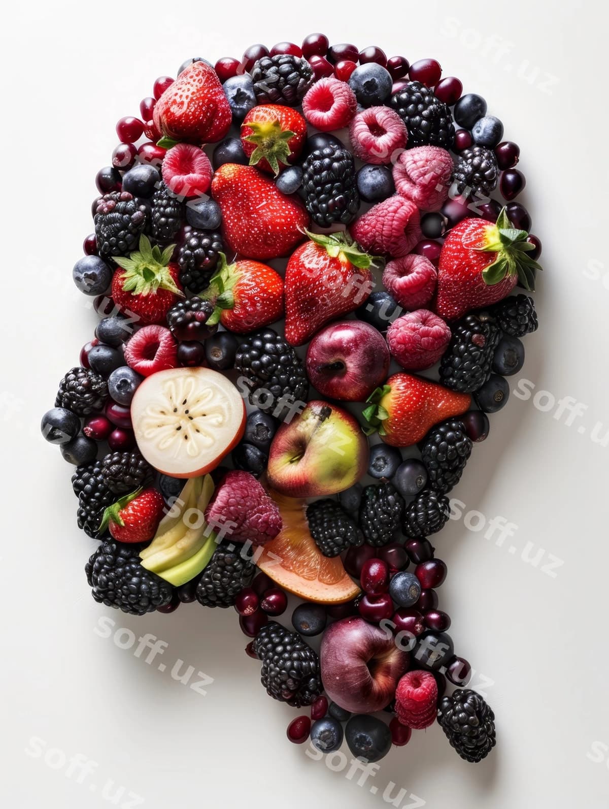 Siluet bosh to'ldirilgan boring | Silhouette head filled with berries