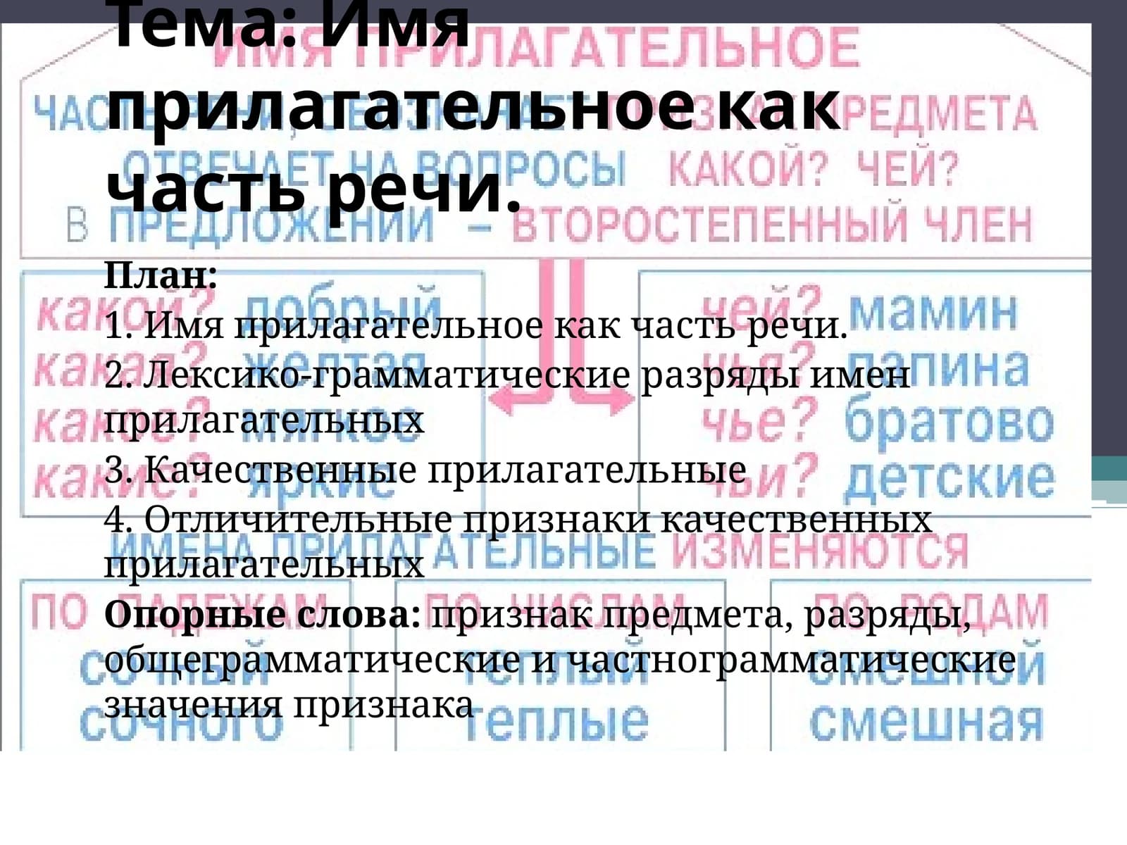 Имя прилагательное как часть речи