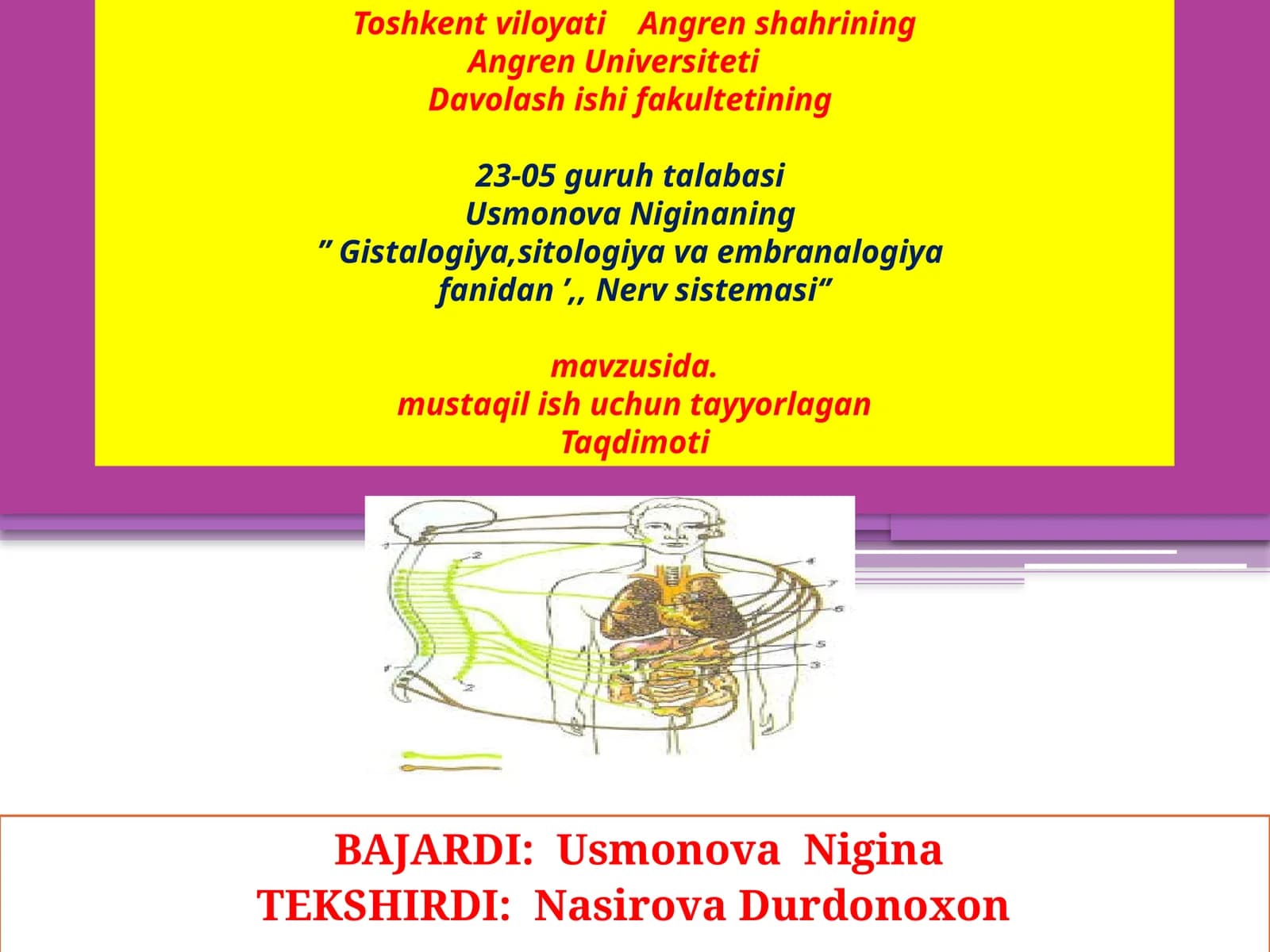 Nervsistemasi