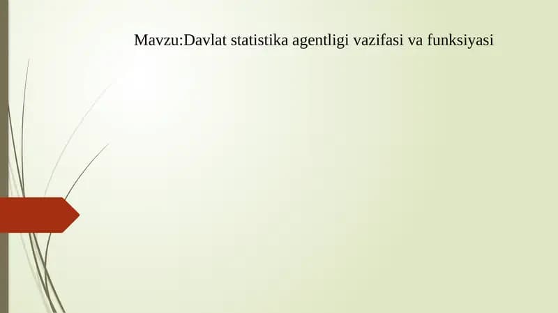 Davlat statistika agentligi vazifasi va funksiyasi