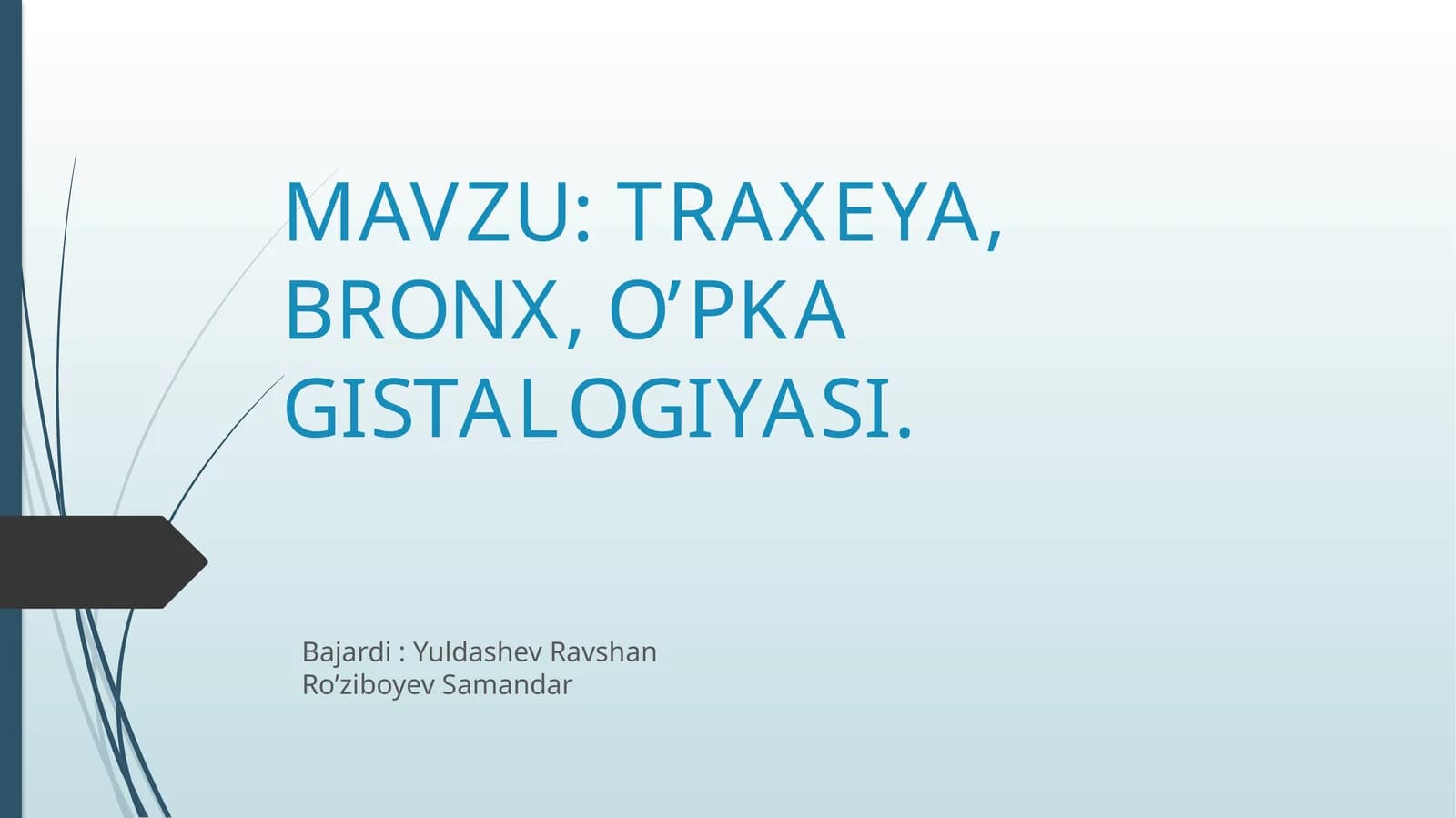 TRAXEYA, BRONX, O’PKA GISTALOGIYASI+ANATOMIYASI