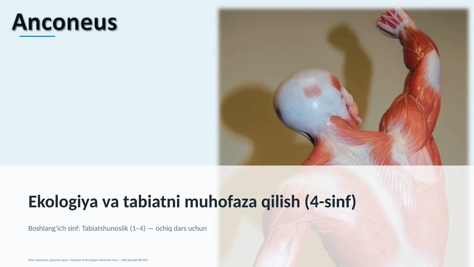 Ekologiya va tabiatni muhofaza qilish (4-sinf)