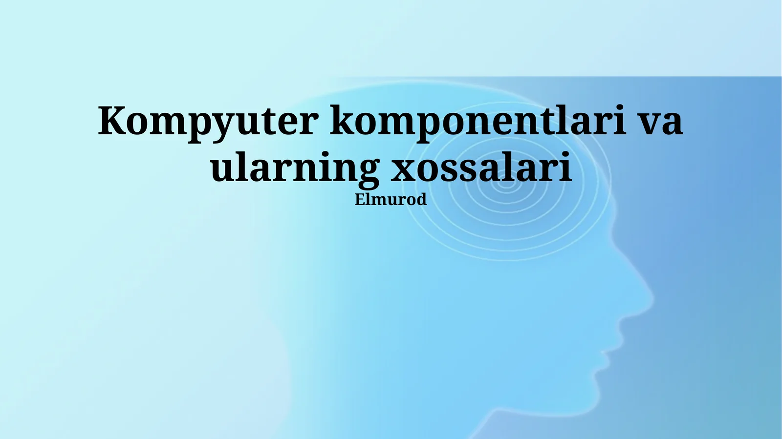 Video Karta