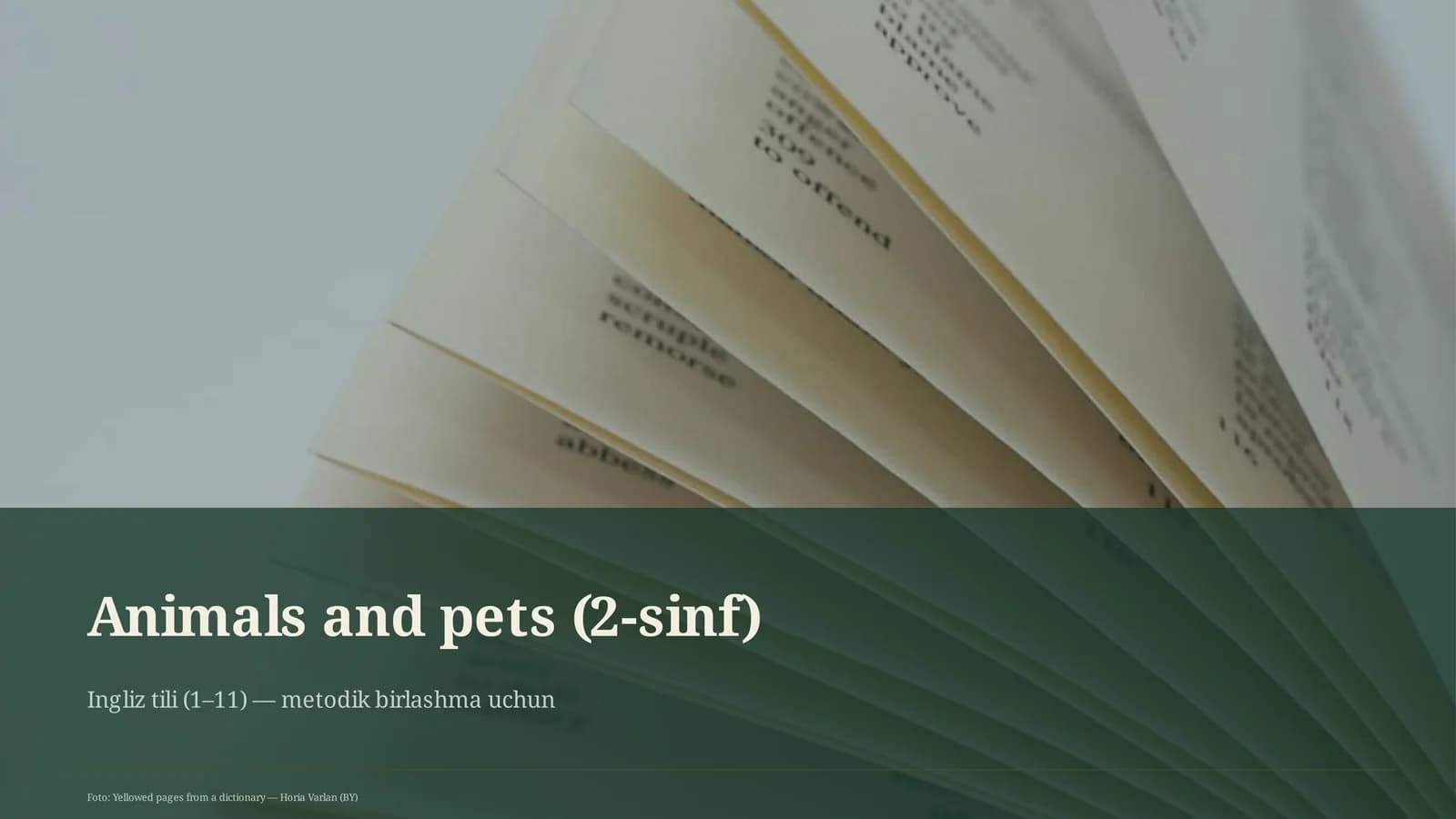 Animals and pets (2-sinf)