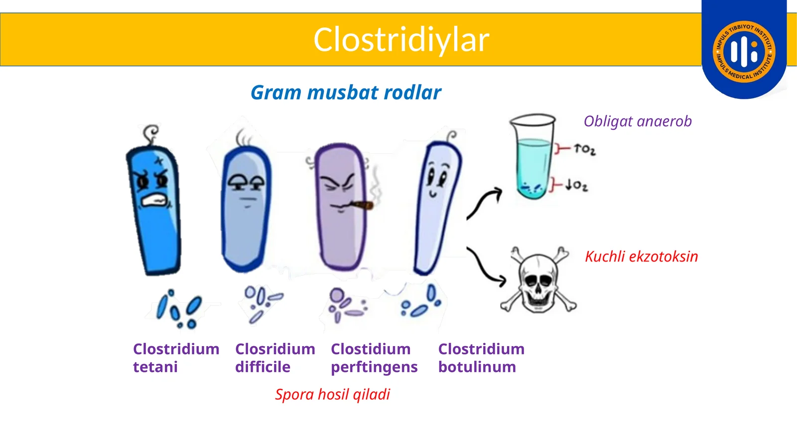 Clostridiylar