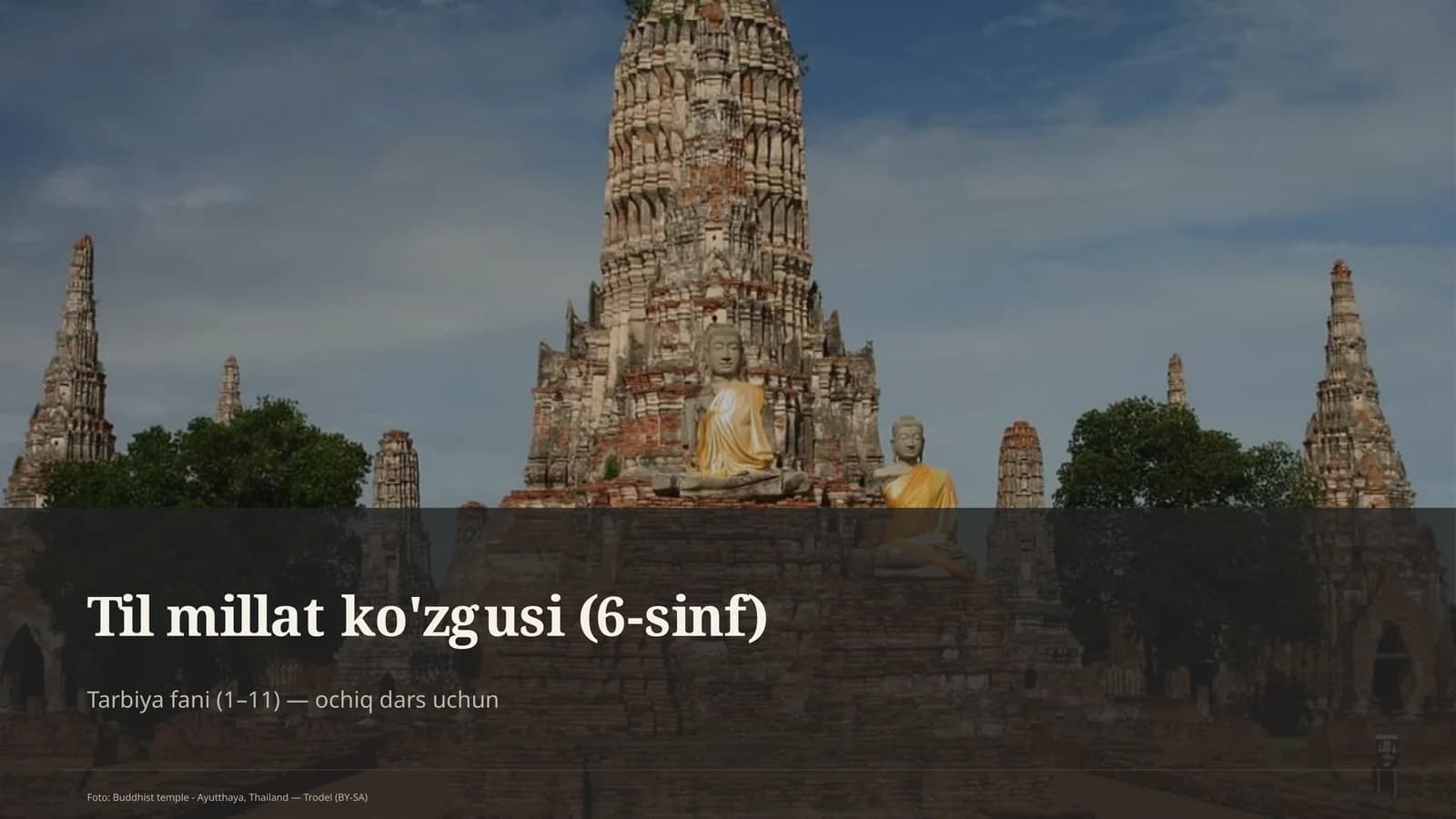Til millat ko'zgusi (6-sinf)