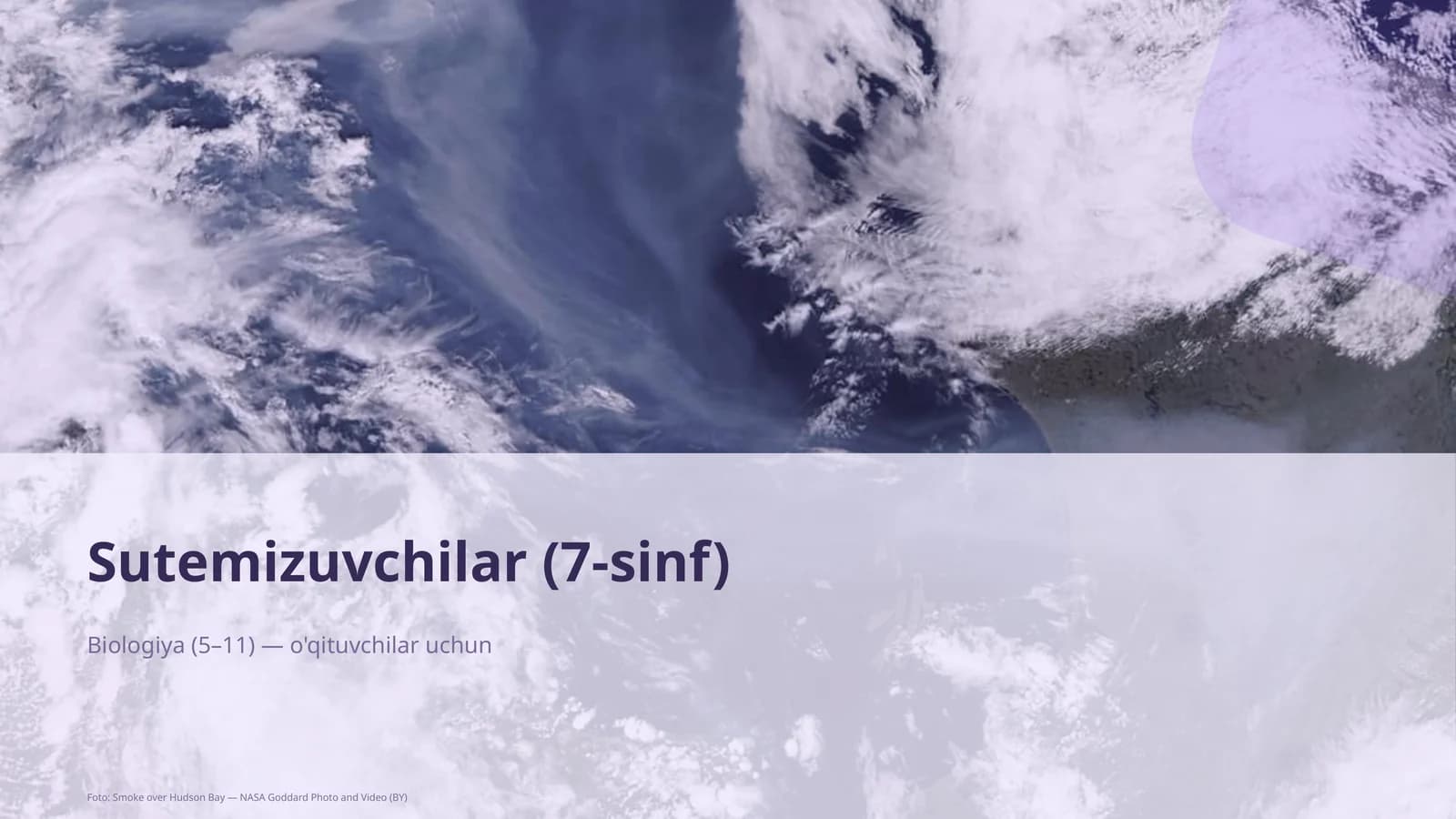 Sutemizuvchilar (7-sinf)