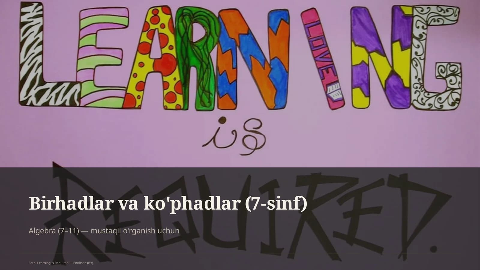 Birhadlar va ko'phadlar (7-sinf)