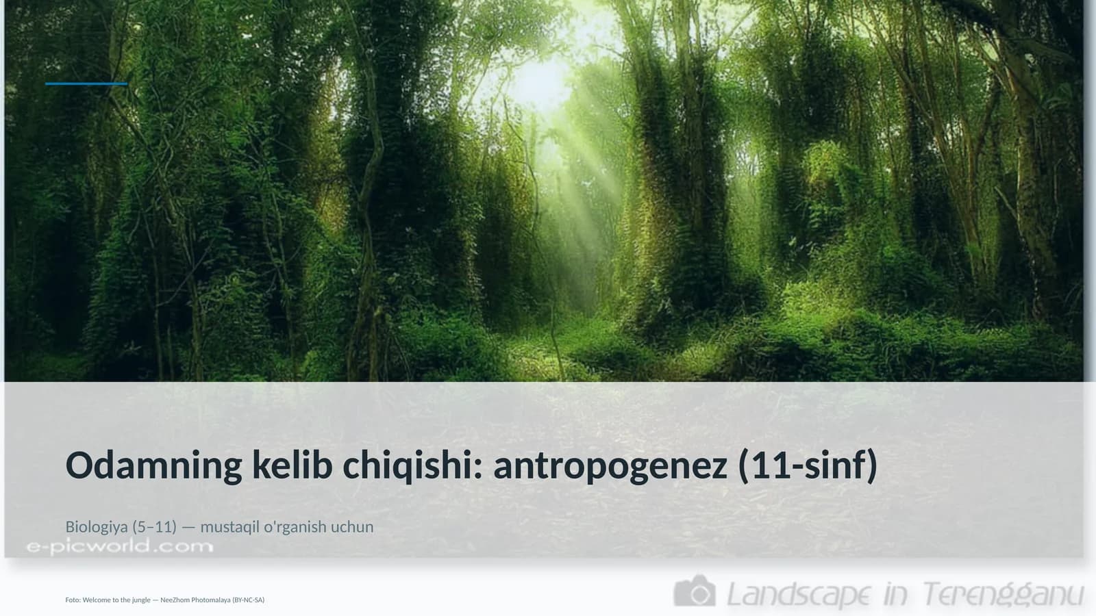 Odamning kelib chiqishi: antropogenez (11-sinf)