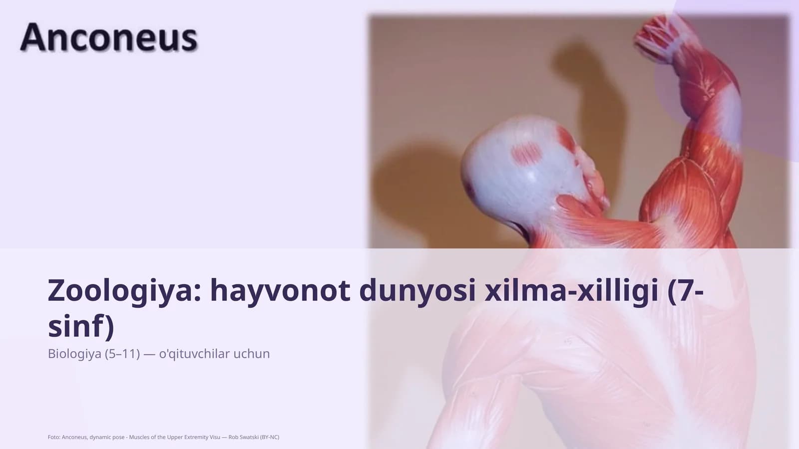 Zoologiya: hayvonot dunyosi xilma-xilligi (7-sinf)