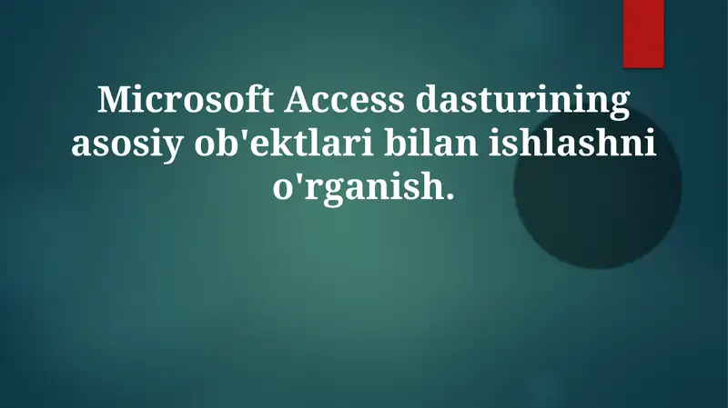 Microsoft Access