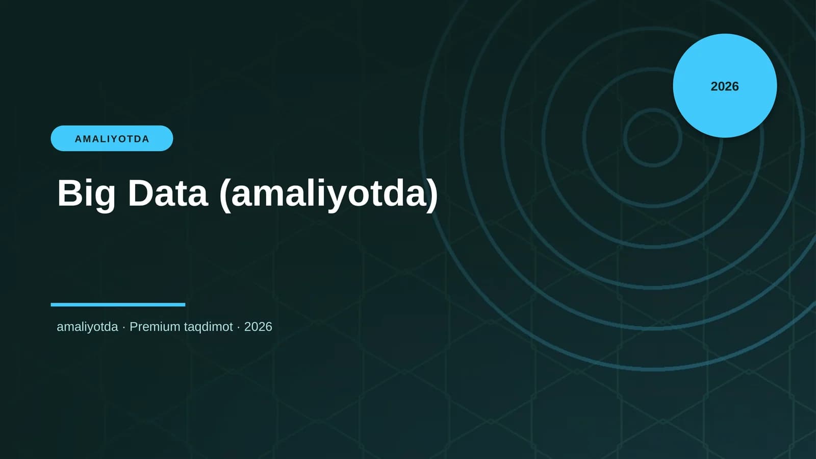 Big Data (amaliyotda)