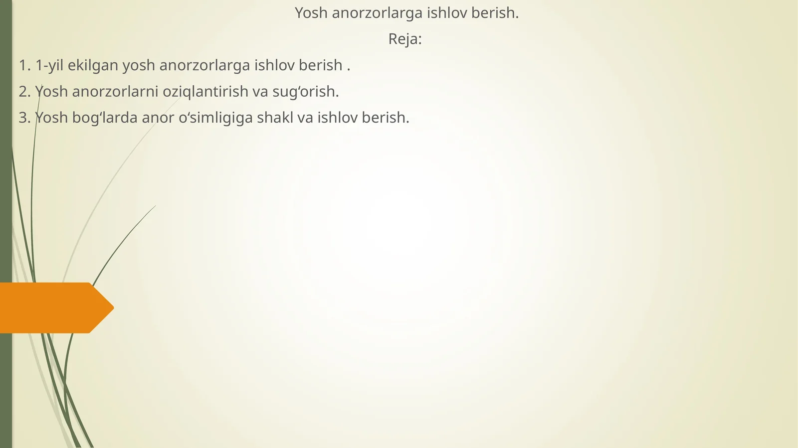Yosh anorzorlarga ishlov berish