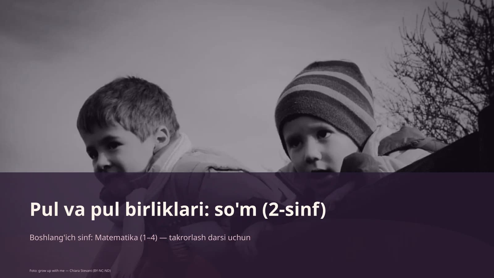 Pul va pul birliklari: so'm (2-sinf)