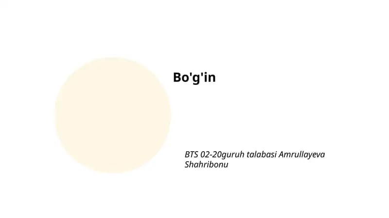 Bo'g'in terminologiyasi