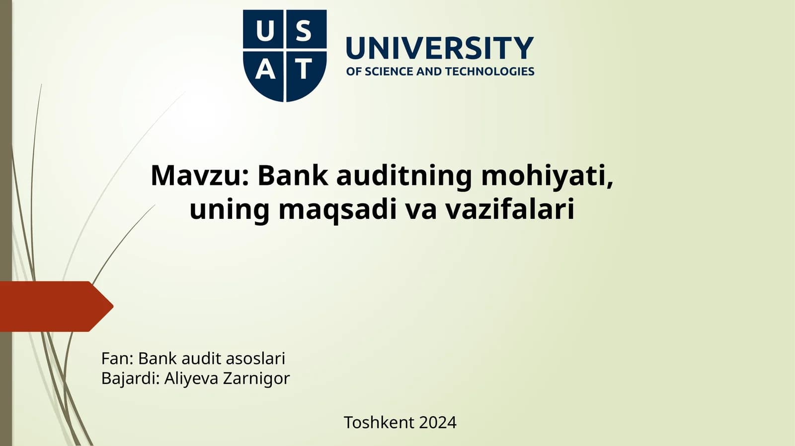 Bank auditasoslari