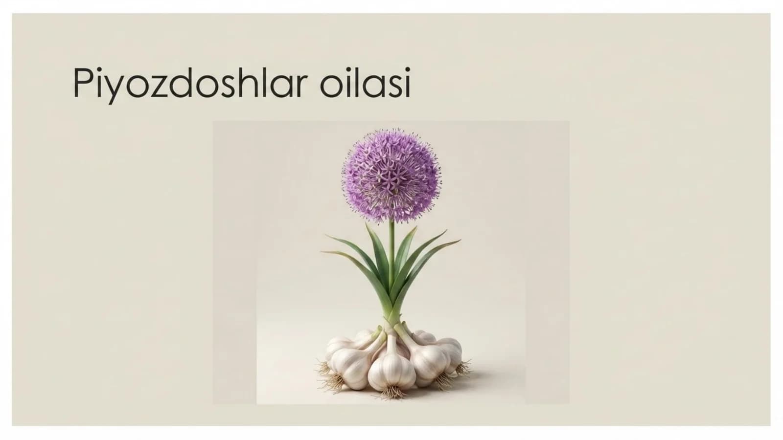 Piyozdoshlar oilasi