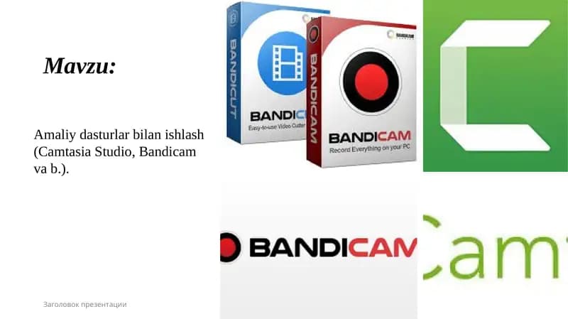 Amaliy dasturlar bilan ishlash (Camtasia Studio, Bandicam va b.).