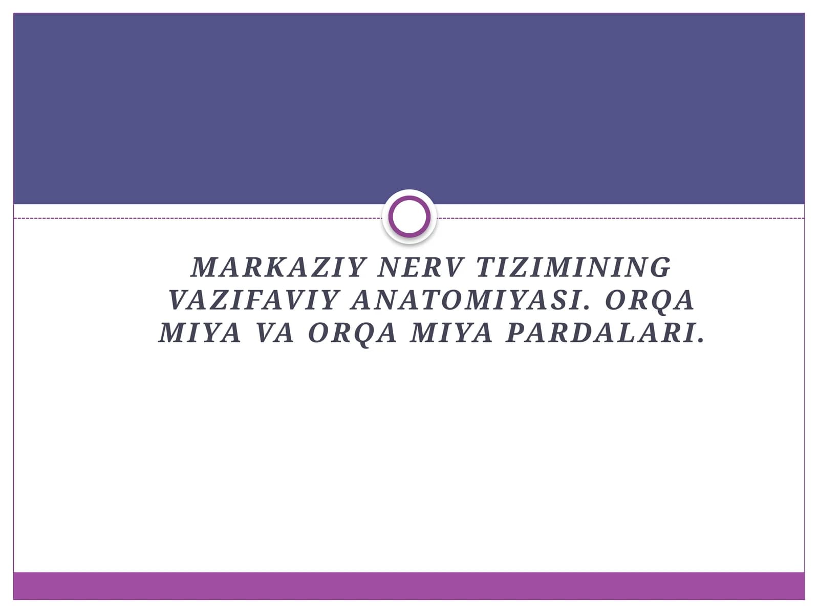 Orqa miya — Anatomiya fanidan prezentatsiya
