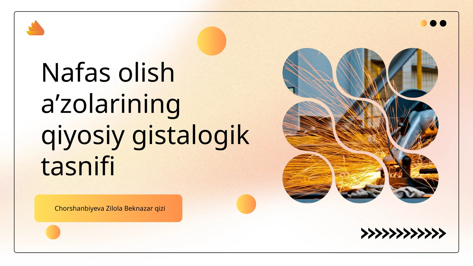 Nafas olish aʼzolarining qiyosiy gistalogik tasnifi
