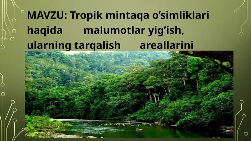 Tropik mintaqa o’simliklarini kontur xaritaga tushirish