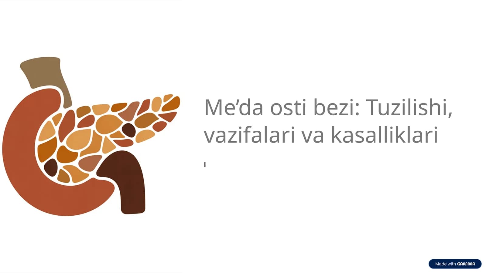 Me’da osti bezi: Tuzilishi, vazifalari va kasalliklari