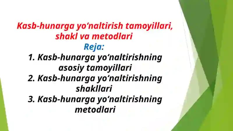 Kasb-hunarga yo‘naltirish tamoyillari, shakllari va netodlari