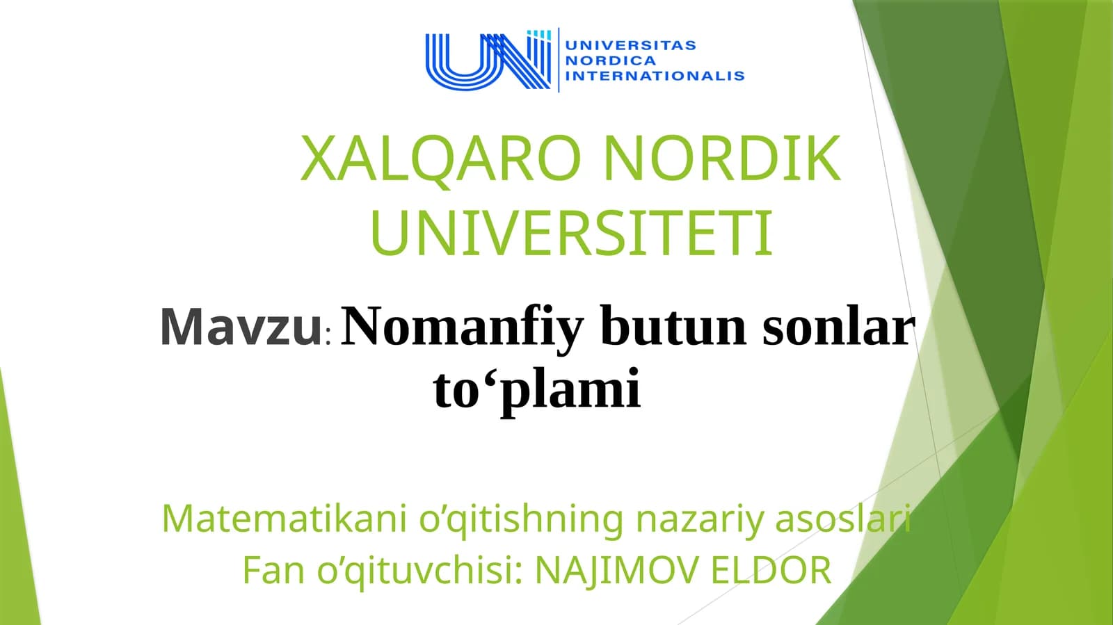 Nomanfiy butun sonlar to'plami