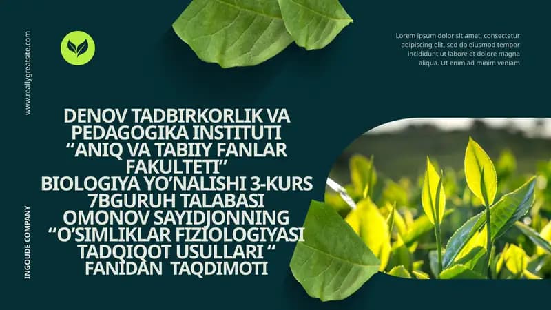 O'simliklarni qurg‘oqchilikka chidamliligi
