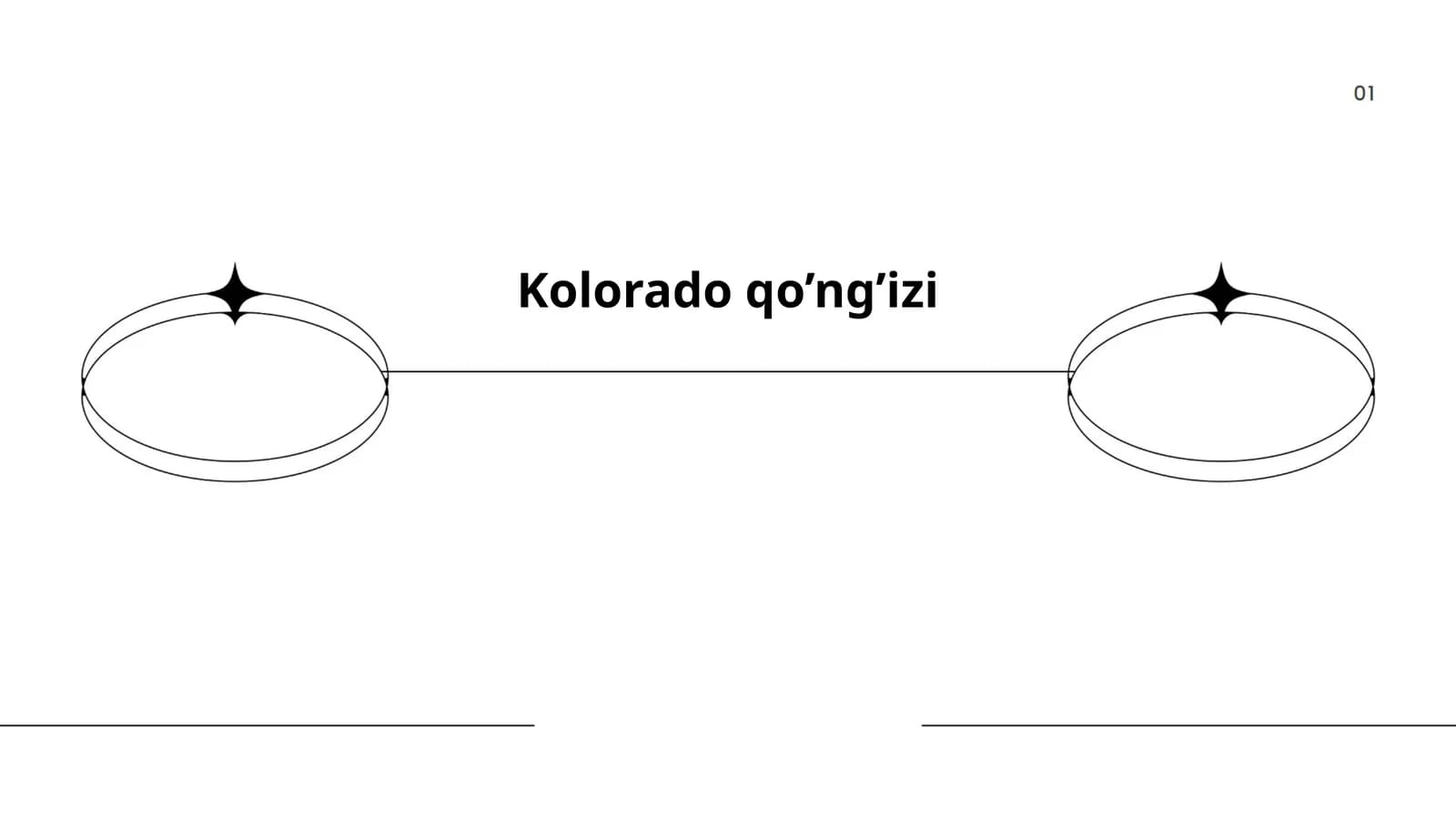 Kolorado qo’ng’izi